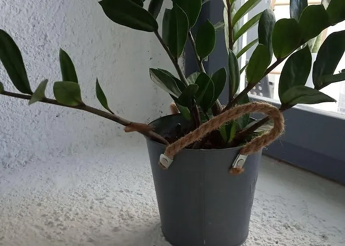 1812 Caves 'n Mansion * Karterados (Santorini)