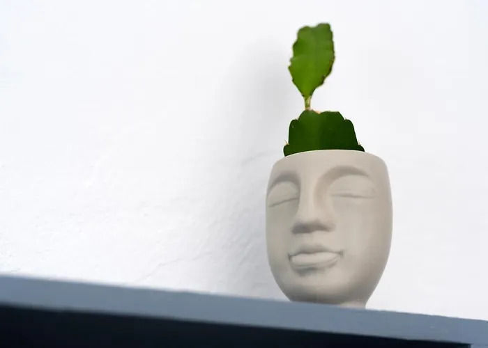 1812 Caves 'n Mansion كارتيرادوس