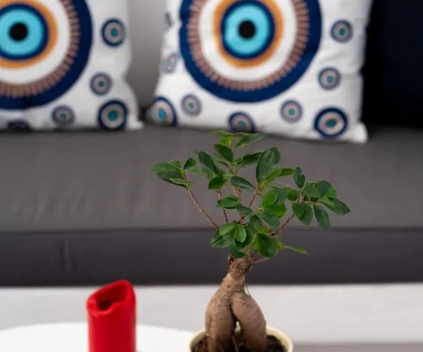 1812 Caves 'n Mansion * Karterados (Santorini)